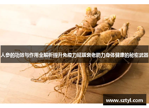 人参的功效与作用全解析提升免疫力延缓衰老助力身体健康的秘密武器