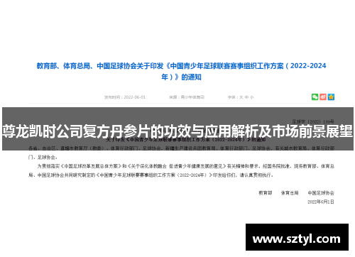 尊龙凯时公司复方丹参片的功效与应用解析及市场前景展望