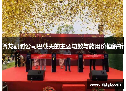 尊龙凯时公司巴戟天的主要功效与药用价值解析
