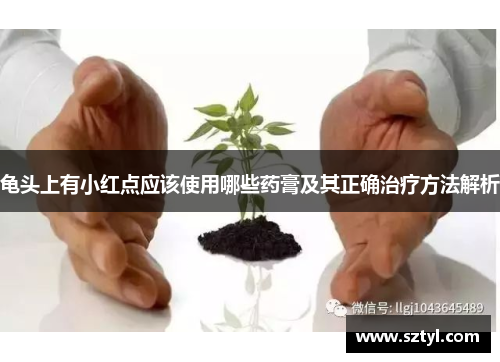 龟头上有小红点应该使用哪些药膏及其正确治疗方法解析